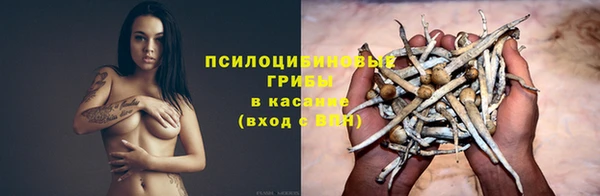 гидра Балабаново