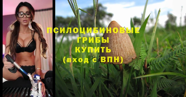 дистиллят марихуана Приозерск