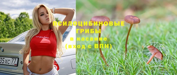 гидра Балабаново